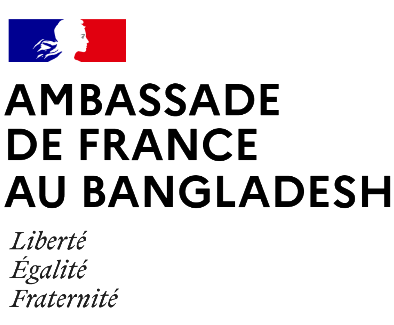 Partner logo