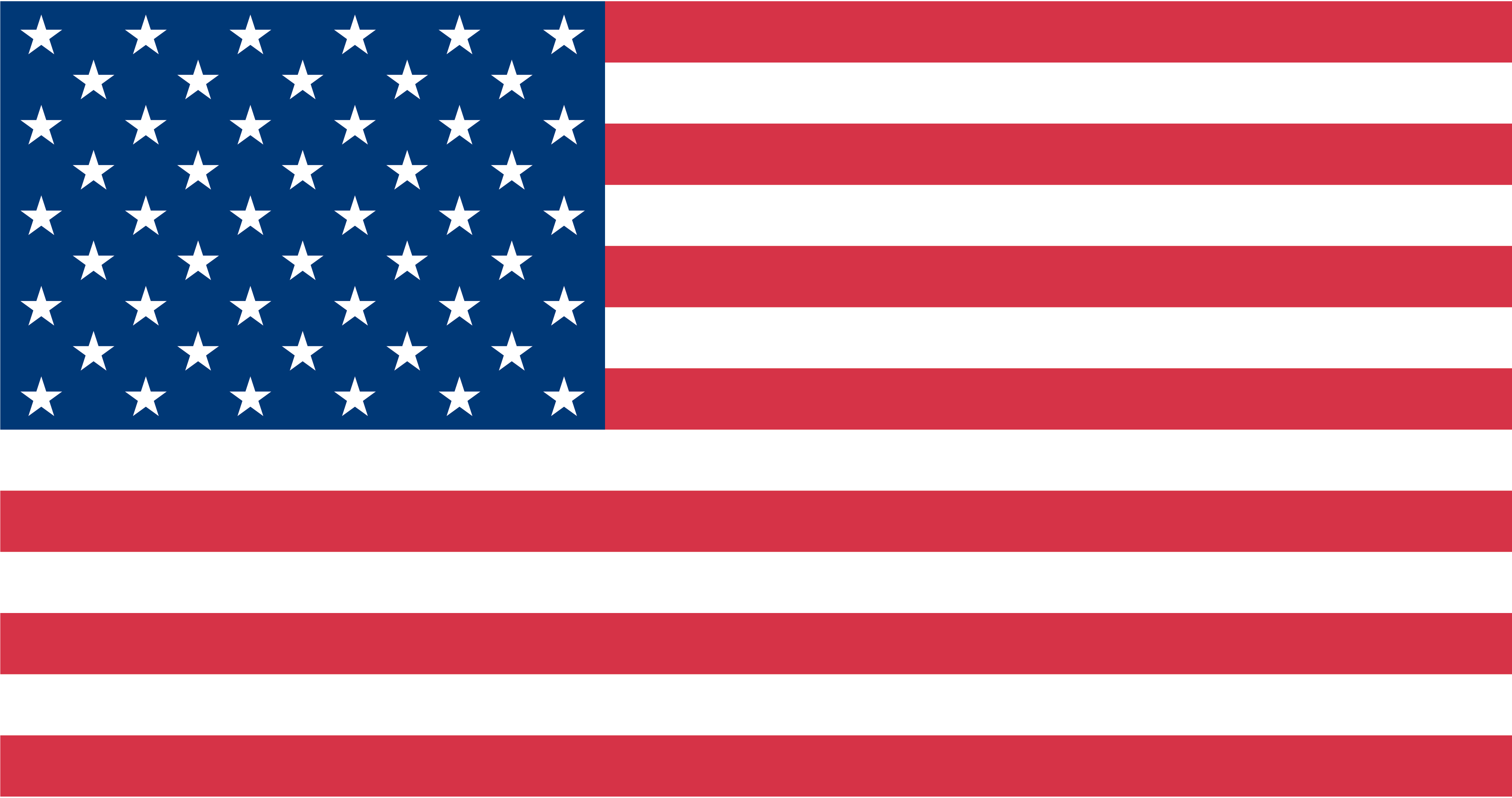 U.S. Flag Logo